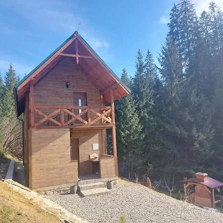 у ліску 2 Vorochta